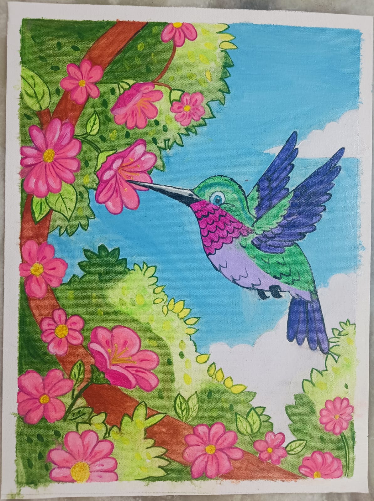 Dance of the Hummingbird